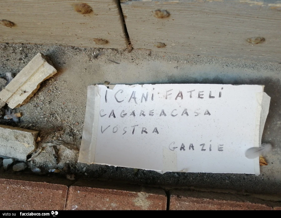 Vaccata
