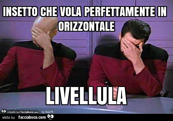 Insetto che vola perfettamente in orizzontale livellula