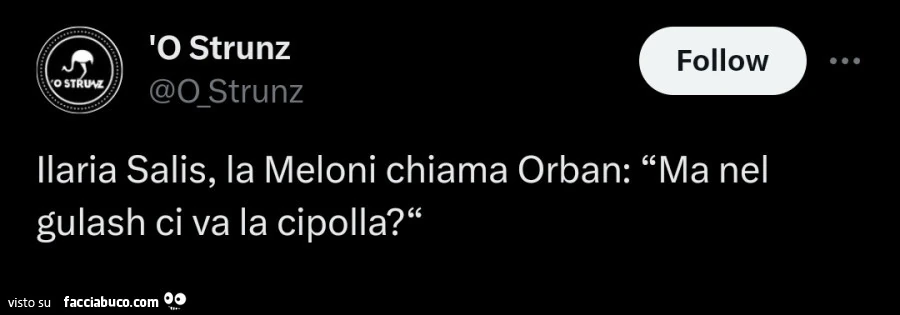 Ilaria Salis, la meloni chiama Orban: ma nel gulash ci va la cipolla?
