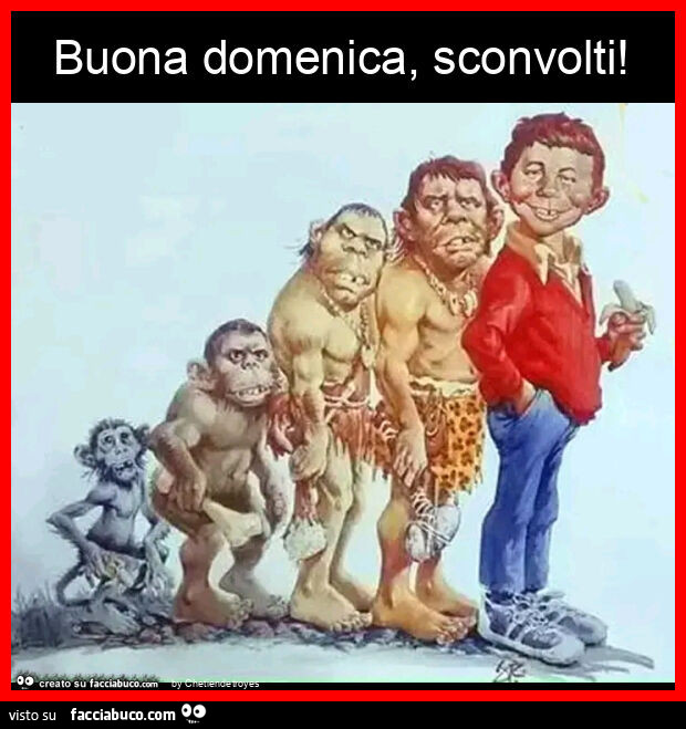 Buona domenica, sconvolti