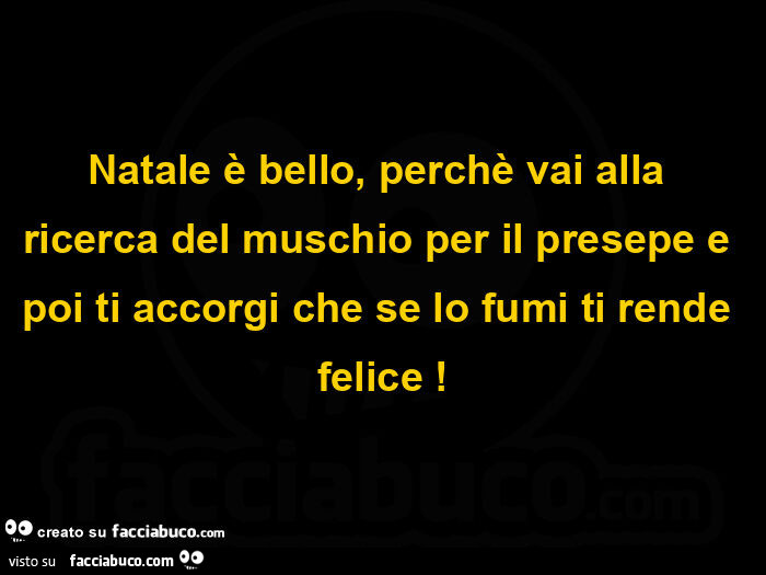 Natale è bello, perchè vai alla ricerca del muschio per il presepe e poi ti accorgi che se lo fumi ti rende felice