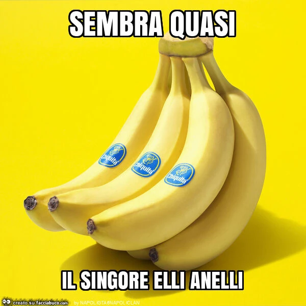 Sembra quasi il singore elli anelli