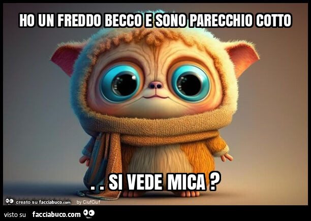 Ho un freddo becco e sono parecchio cotto. Si vede mica?