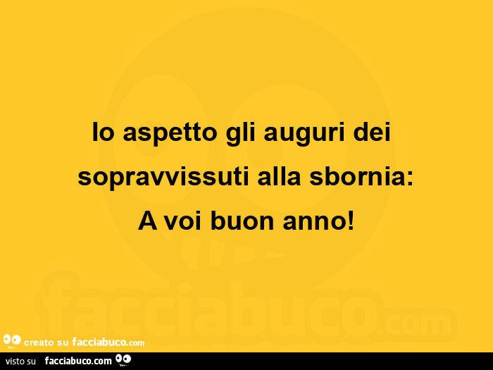 Io aspetto gli auguri dei sopravvissuti alla sbornia: a voi buon anno