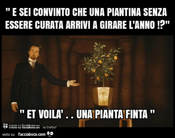 " e sei convinto che una piantina senza essere curata arrivi a girare l'anno!? "