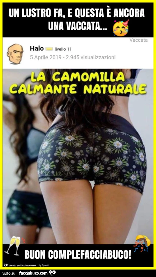 Vaccata