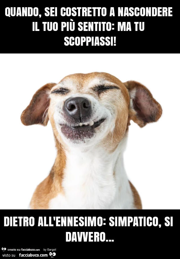 Quando, sei costretto a nascondere il tuo più sentito: ma tu scoppiassi! Dietro all'ennesimo: simpatico, si davvero