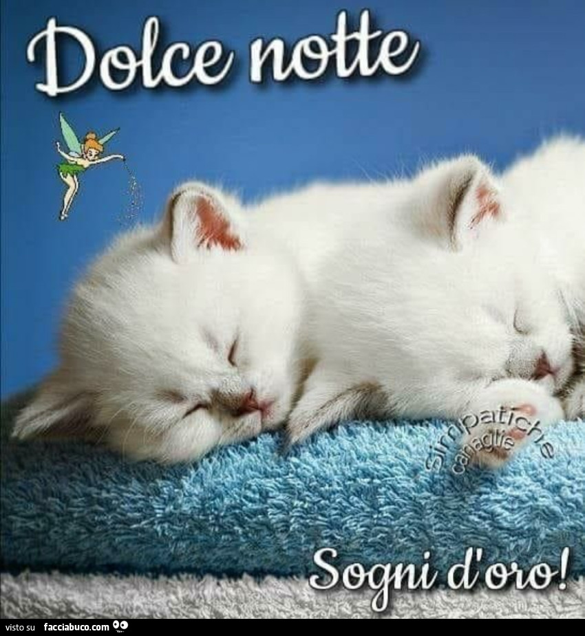 Saluti notte