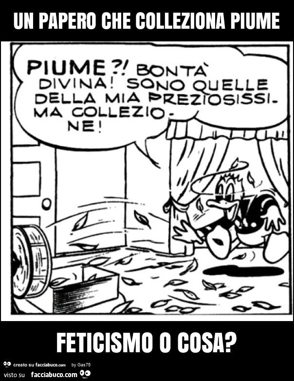 Un papero che colleziona piume feticismo o cosa?