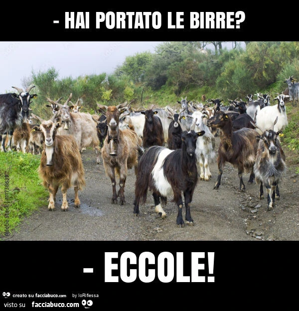 Hai portato le birre? - Eccole
