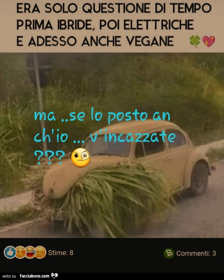 Vaccata