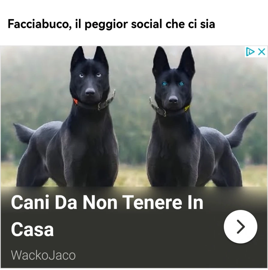 Vaccata