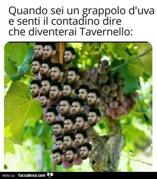 Vaccata