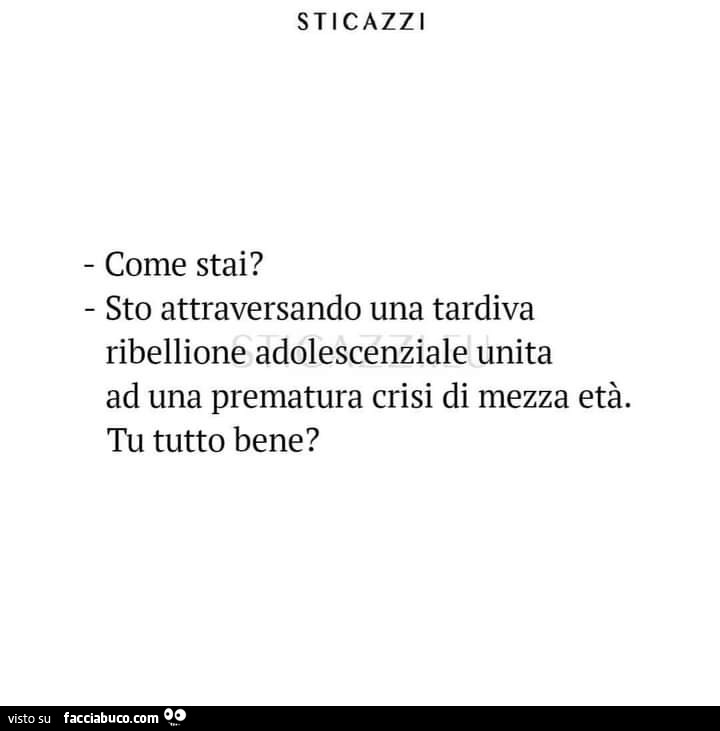 Come stai? Sto attraversando una tardiva ribellione adolescenziale unita ad una prematura crisi di mezza età. Tu tutto bene?