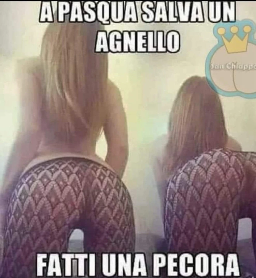 Salviamo gli animali