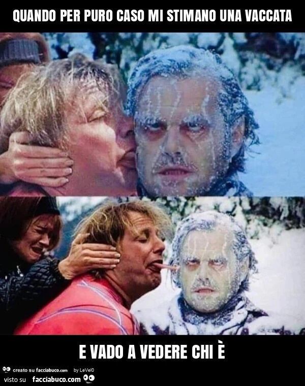 Quando per puro caso mi stimano una vaccata e vado a vedere chi è