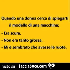 Quando una donna cerca di spiegarti il modello di una macchina: era scura. Non era tanto grossa. Mi è sembrato che avesse le ruote