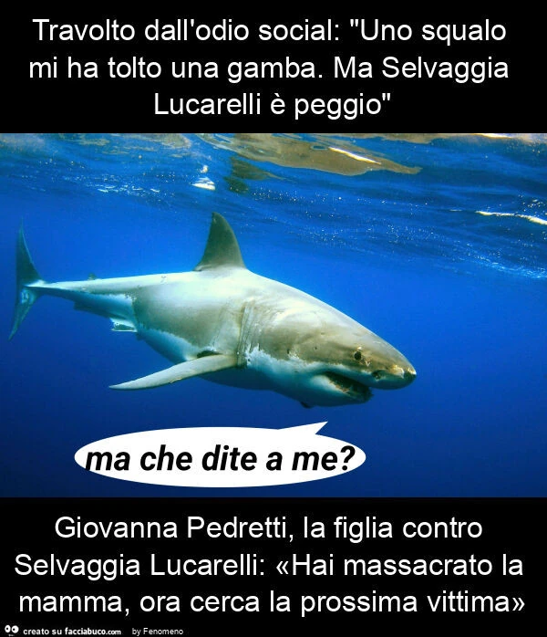 Travolto dall'odio social: "uno squalo mi ha tolto una gamba. Ma selvaggia lucarelli è peggio" giovanna pedretti, la figlia contro selvaggia lucarelli: «hai massacrato la mamma, ora cerca la prossima vittima»