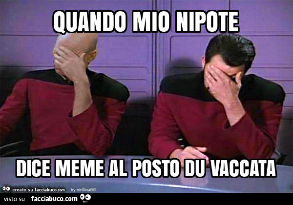 Quando mio nipote dice meme al posto du vaccata