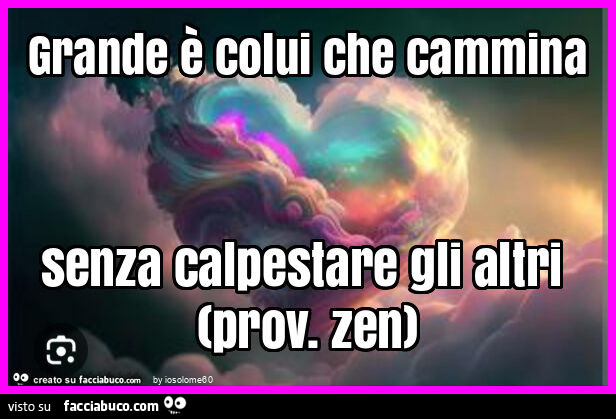 Grande è colui che cammina senza calpestare gli altri (prov. Zen)