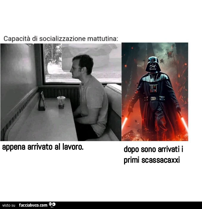 Vaccata