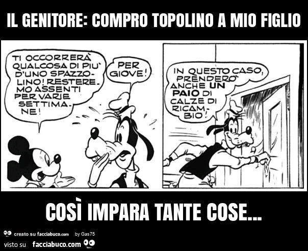 Il genitore: compro topolino a mio figlio così impara tante cose