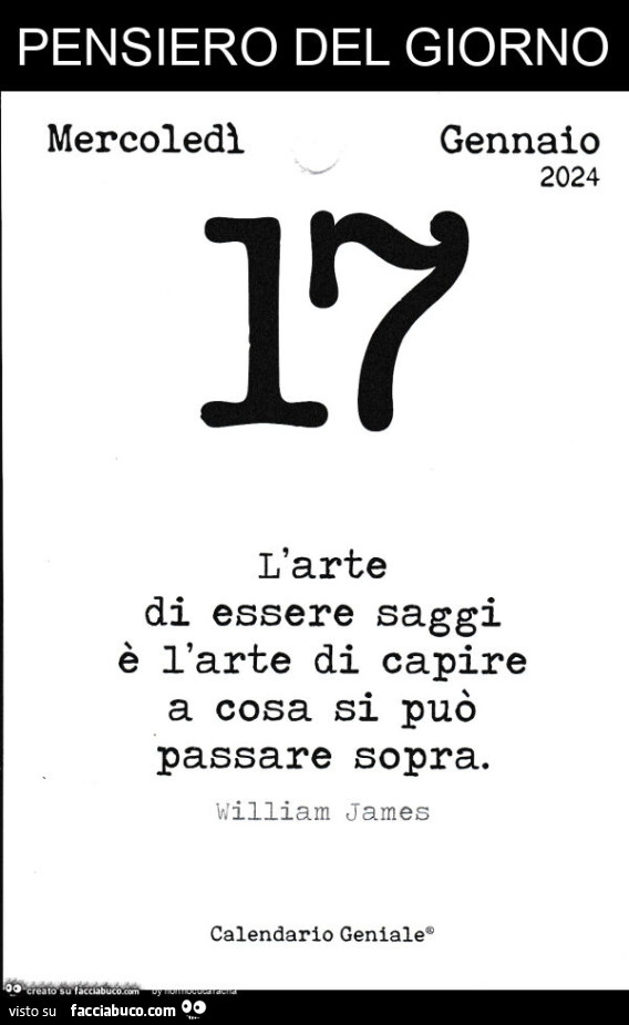 Pensiero del giorno. L'arte di essere saggi è l'arte di capire a cosa si può passare sopra. William James