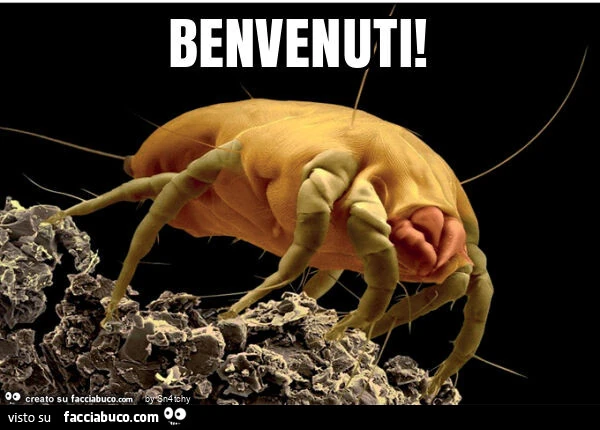 Benvenuti