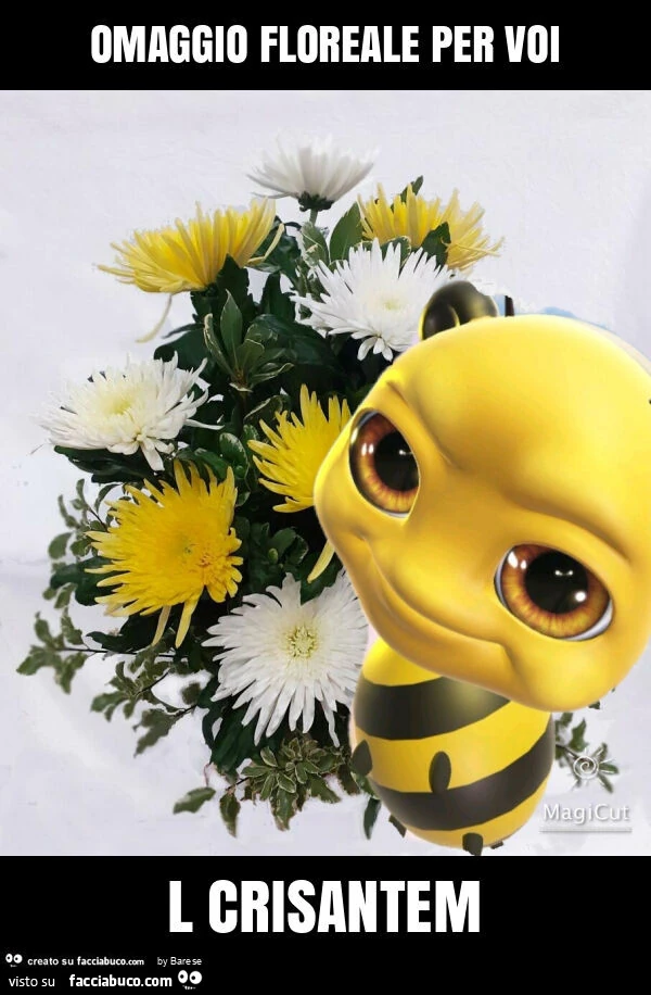Omaggio floreale per voi l crisantem