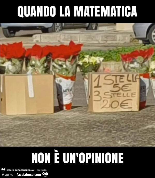 Quando la matematica non è un'opinione