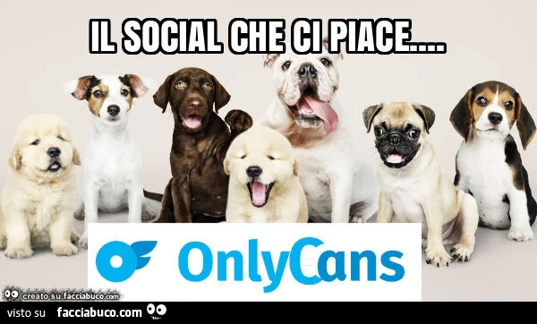 Il social che ci piace