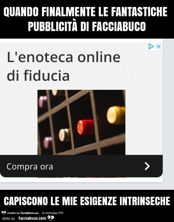 Quando finalmente le fantastiche pubblicità di facciabuco capiscono le mie esigenze intrinseche