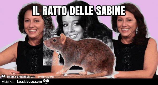 Il ratto delle sabine - Facciabuco.com