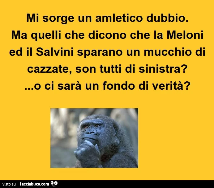 Mi sorge un amletico dubbio. Ma quelli che dicono che la meloni ed il salvini sparano un mucchio di cazzate, son tutti di sinistra? O ci sarà un fondo di verità?