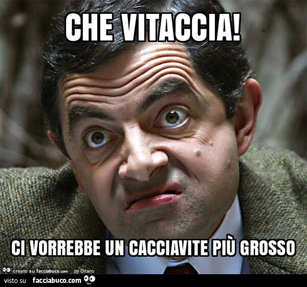 Che vitaccia! Ci vorrebbe un cacciavite piรน grosso