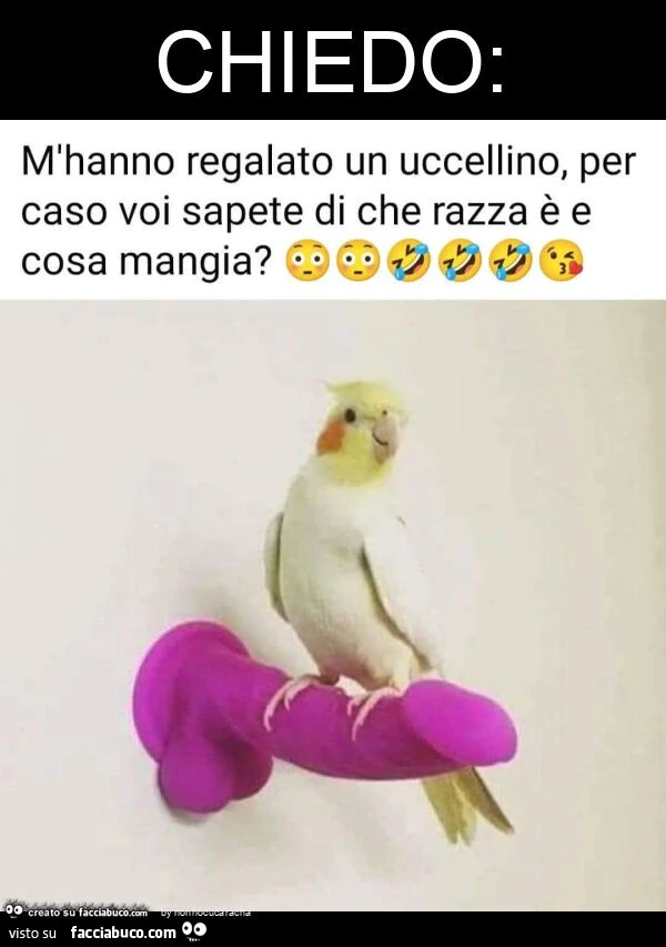 Chiedo