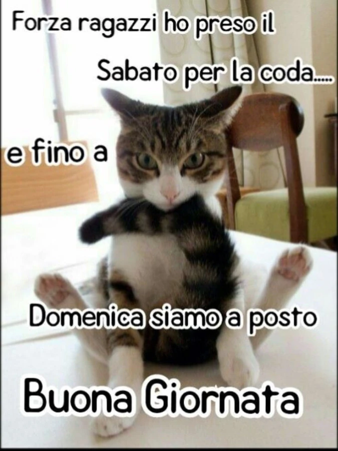 Buona giornata