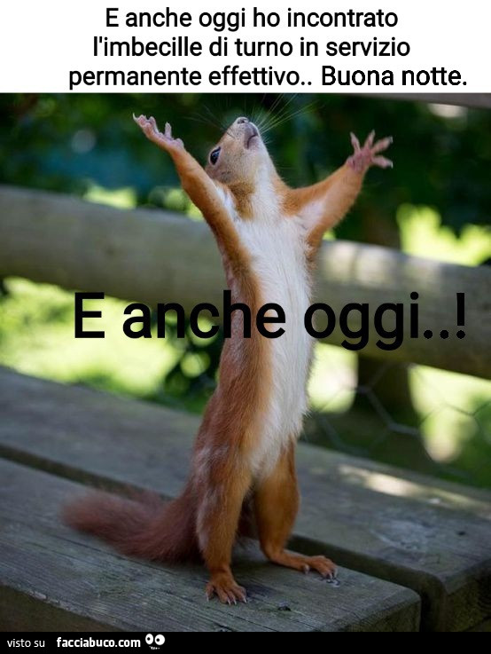 Oggi