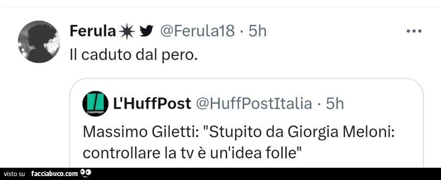 Massimo Giletti: stupito da giorgia meloni: controllare la tv รจ un'idea folle