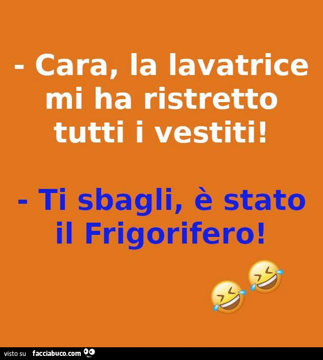 Cara, la lavatrice mi ha ristretto tutti i vestiti! Ti sbagli, è stato il frigorifero