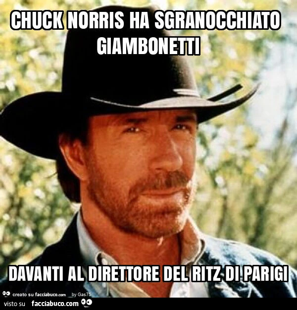 Chuck norris ha sgranocchiato giambonetti davanti al direttore del ritz di parigi