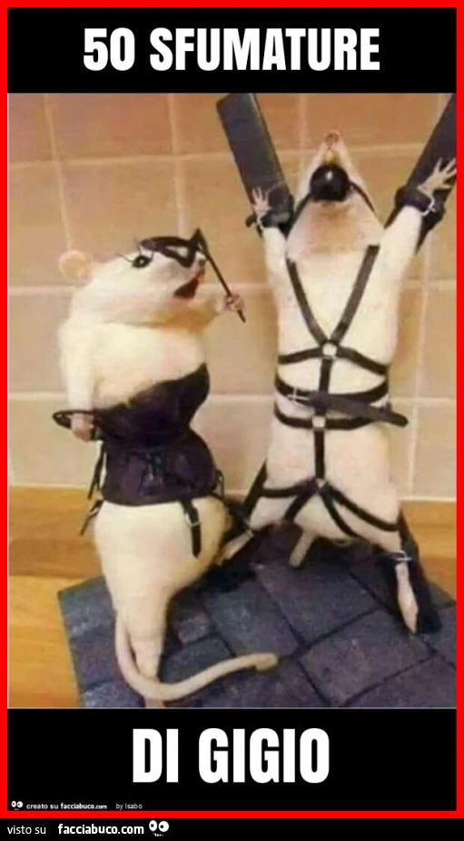 50 sfumature di gigio