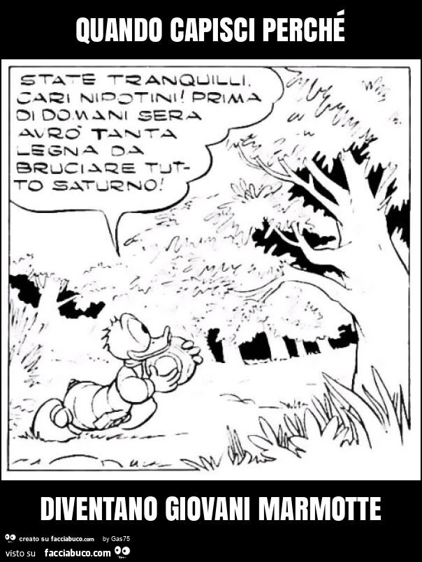 Quando capisci perché diventano giovani marmotte