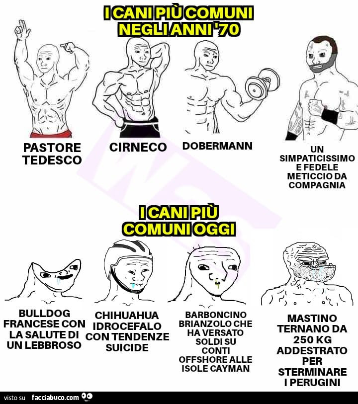 I cani più comuni negli anni '70. I cani più comuni oggi