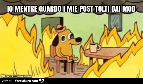 Io mentre guardo i mie post tolti dai mod