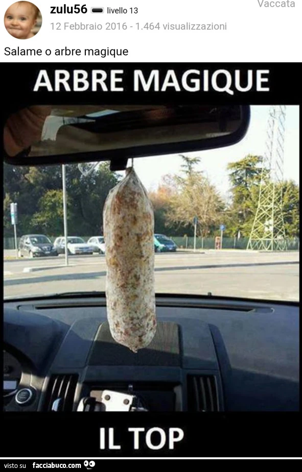 Vaccata
