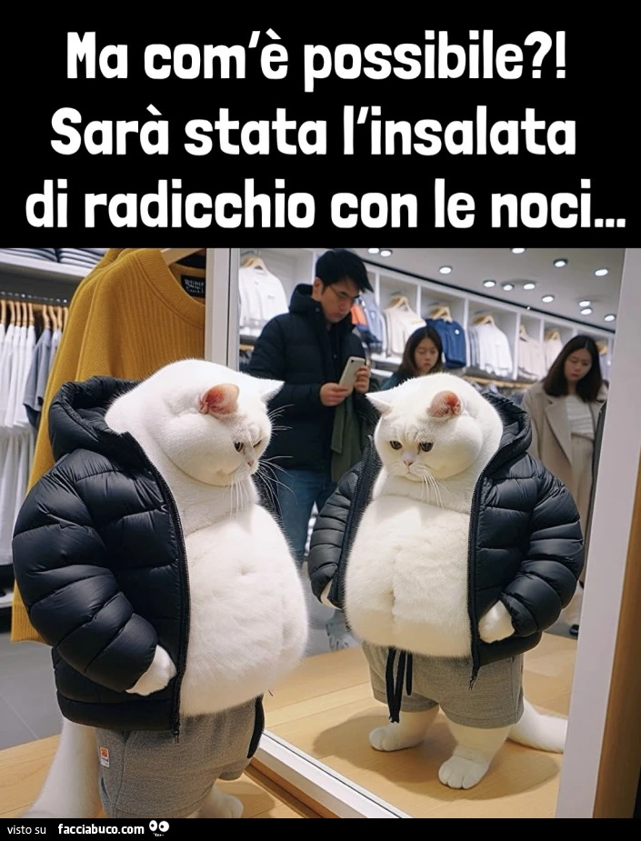Vaccata