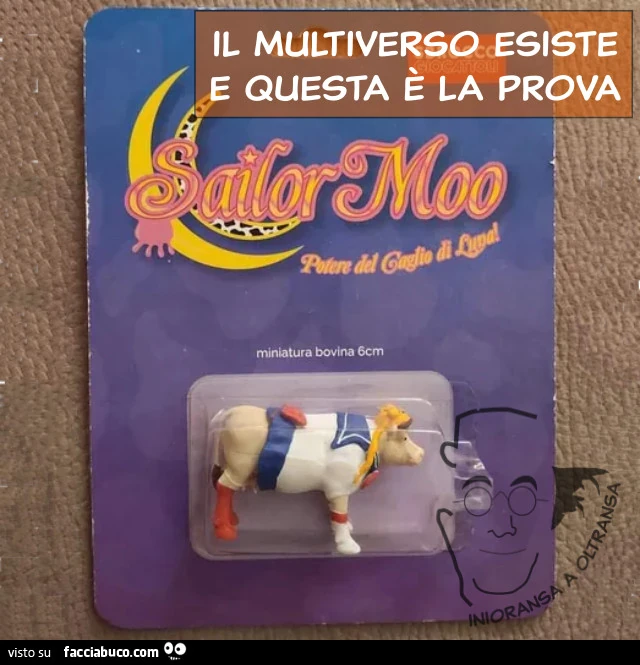 Il multiverso esiste - sailor moo