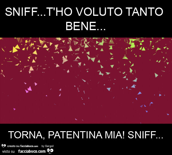 Sniff… t'ho voluto tanto bene… torna, patentina mia! Sniff