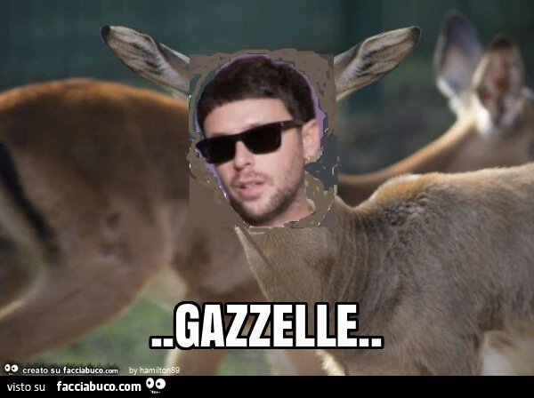 Gazzelle